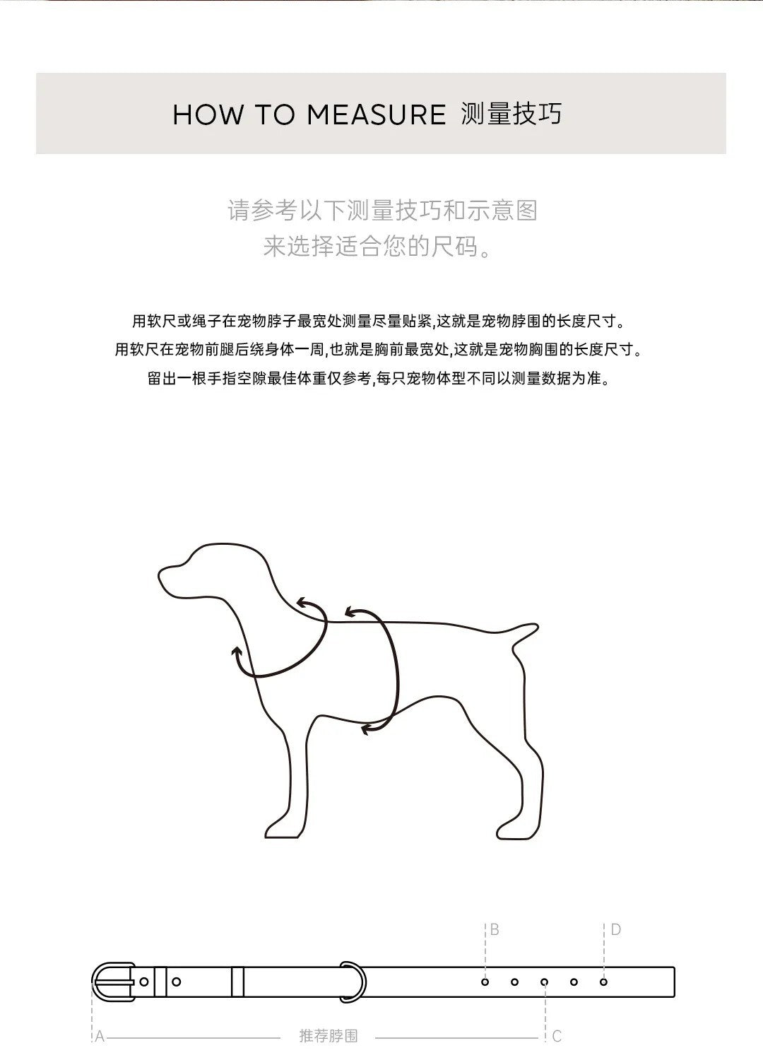 Dog collar measuring guide