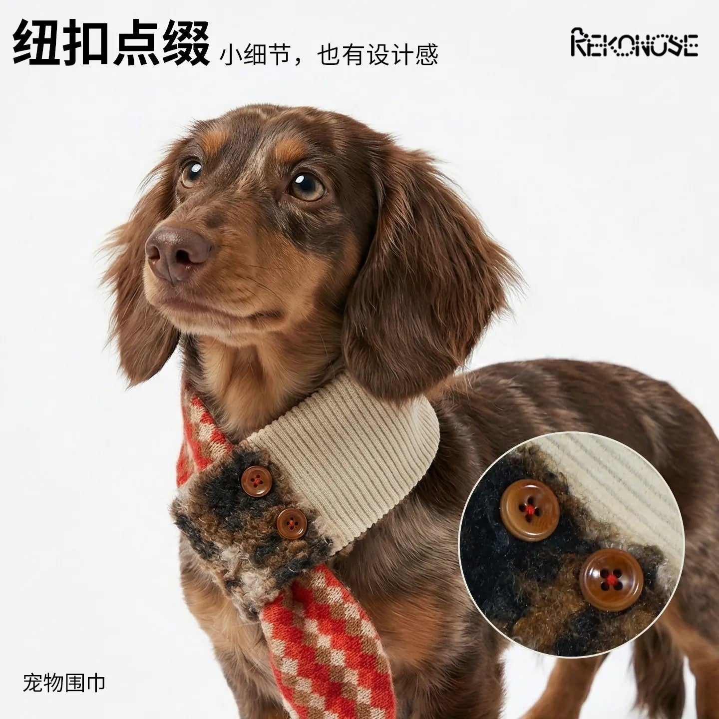 Dachshund wearing Christmas knit pet scarf