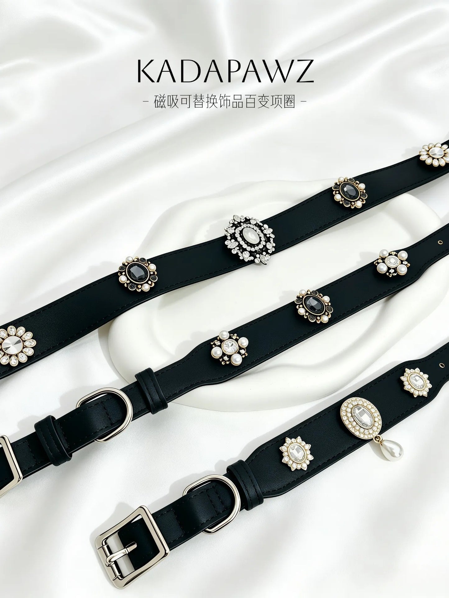 Black magnetic dog collar with interchangeable charm slots