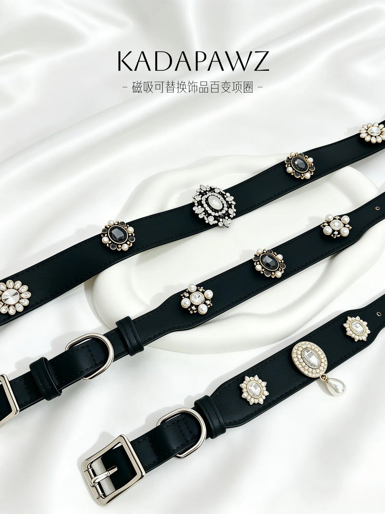 Black magnetic dog collar with interchangeable charm slots