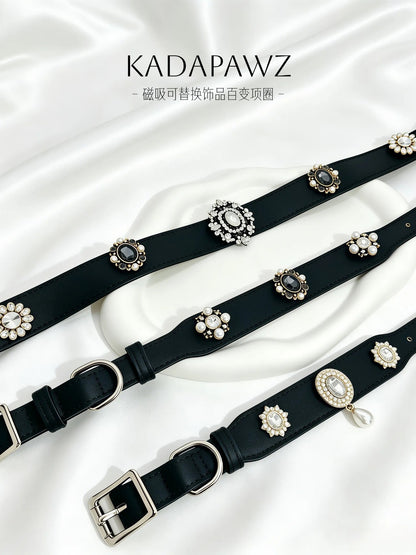 Black magnetic dog collar with interchangeable charm slots