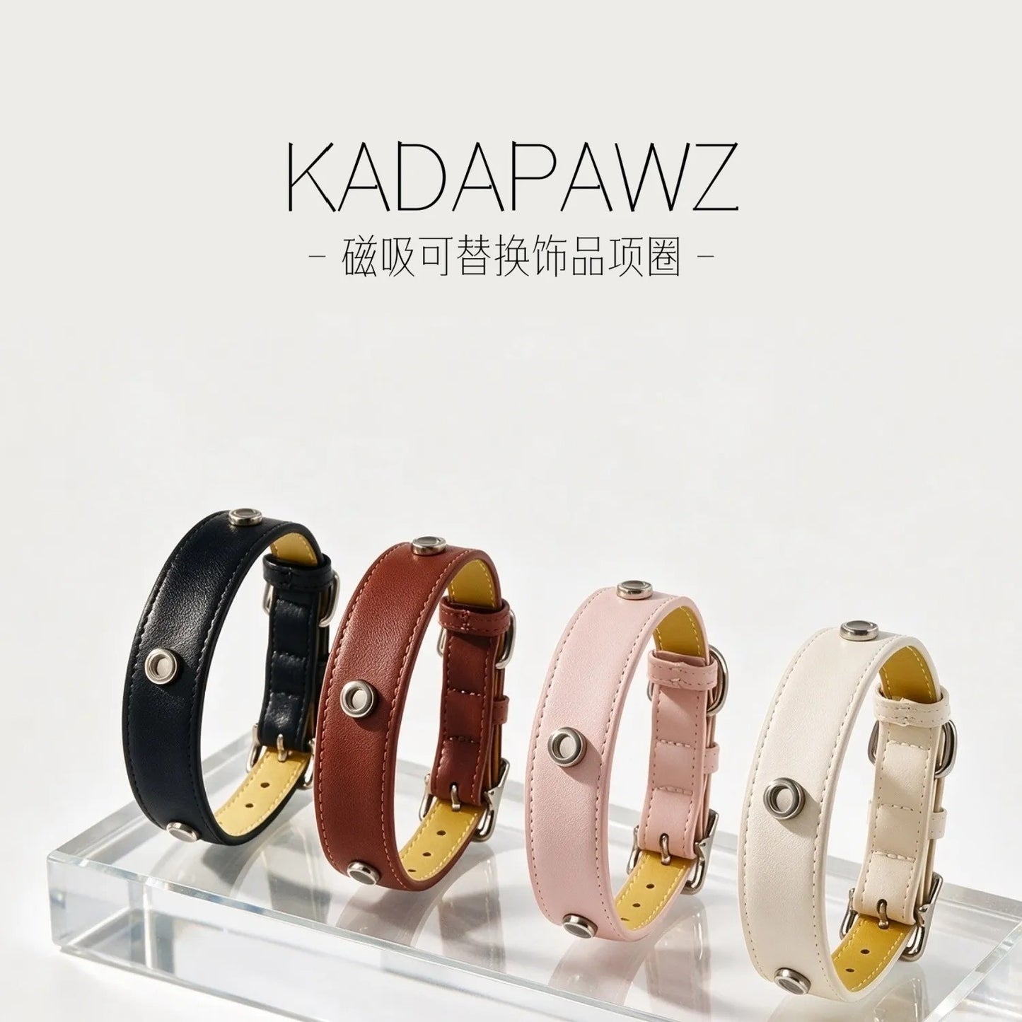 Magnetic dog collar base color display