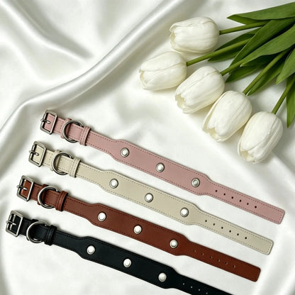 Magnetic collar base four color flat lay