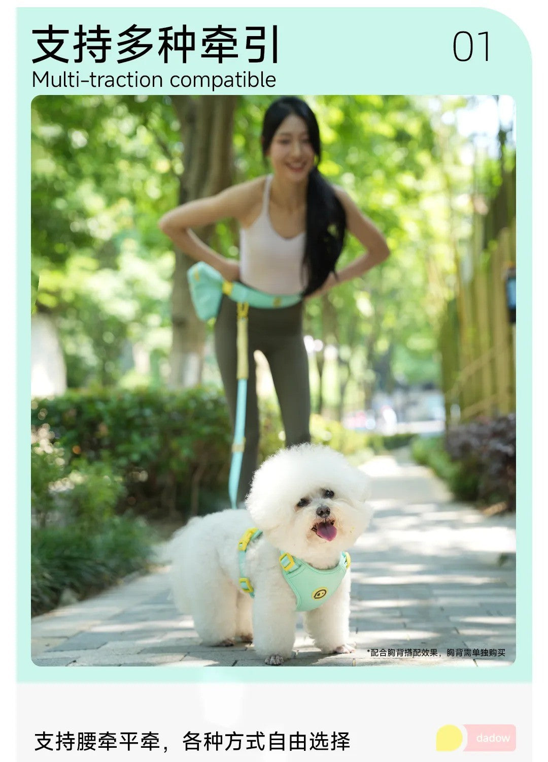 Mint blue waist leash supports multiple walking modes