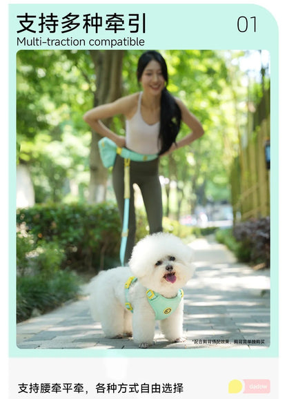 Mint blue waist leash supports multiple walking modes
