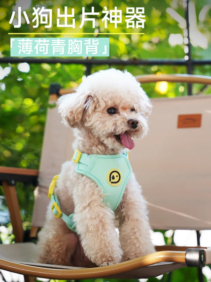 Mint blue dog harness and leash set for small to medium dogs