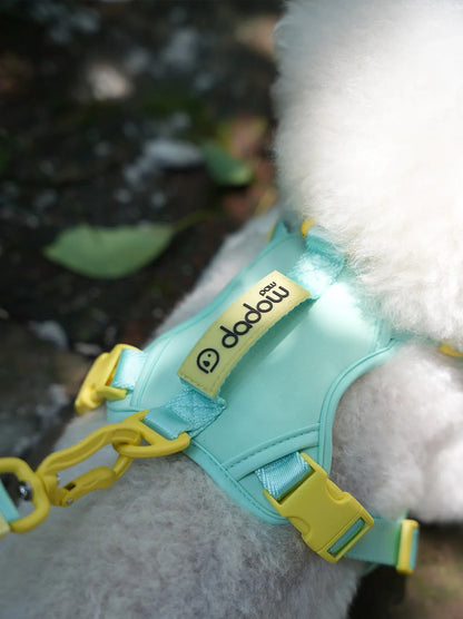 Soft mint blue dog walking harness with matching leash