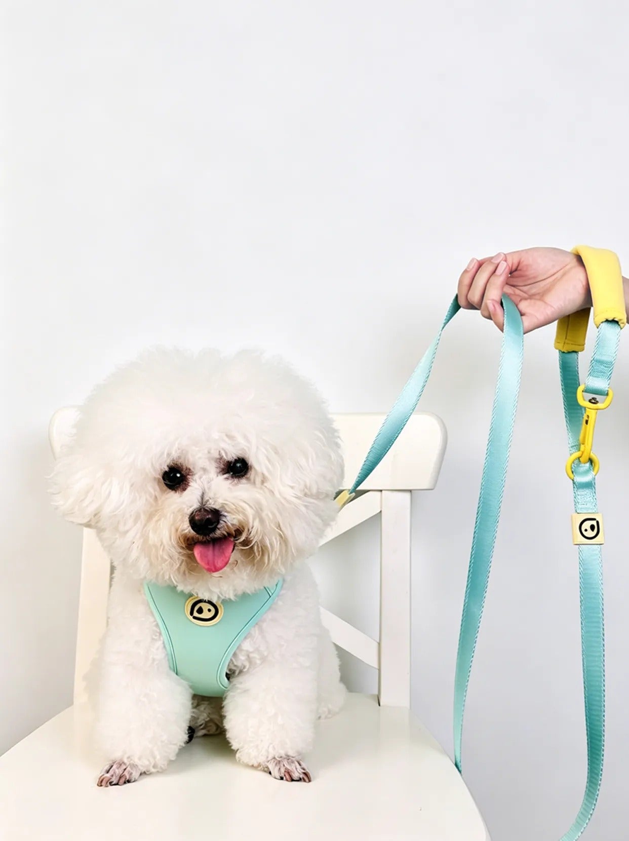 Comfortable chest harness and leash set in mint blue