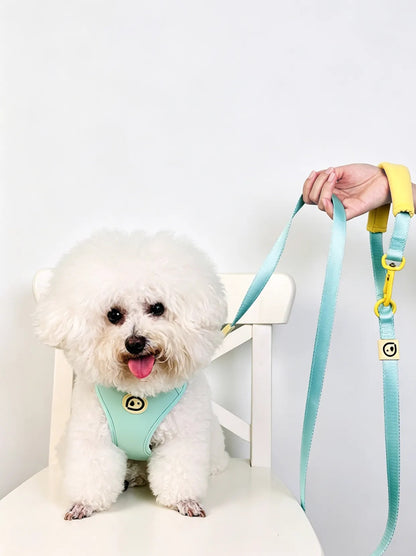 Comfortable chest harness and leash set in mint blue