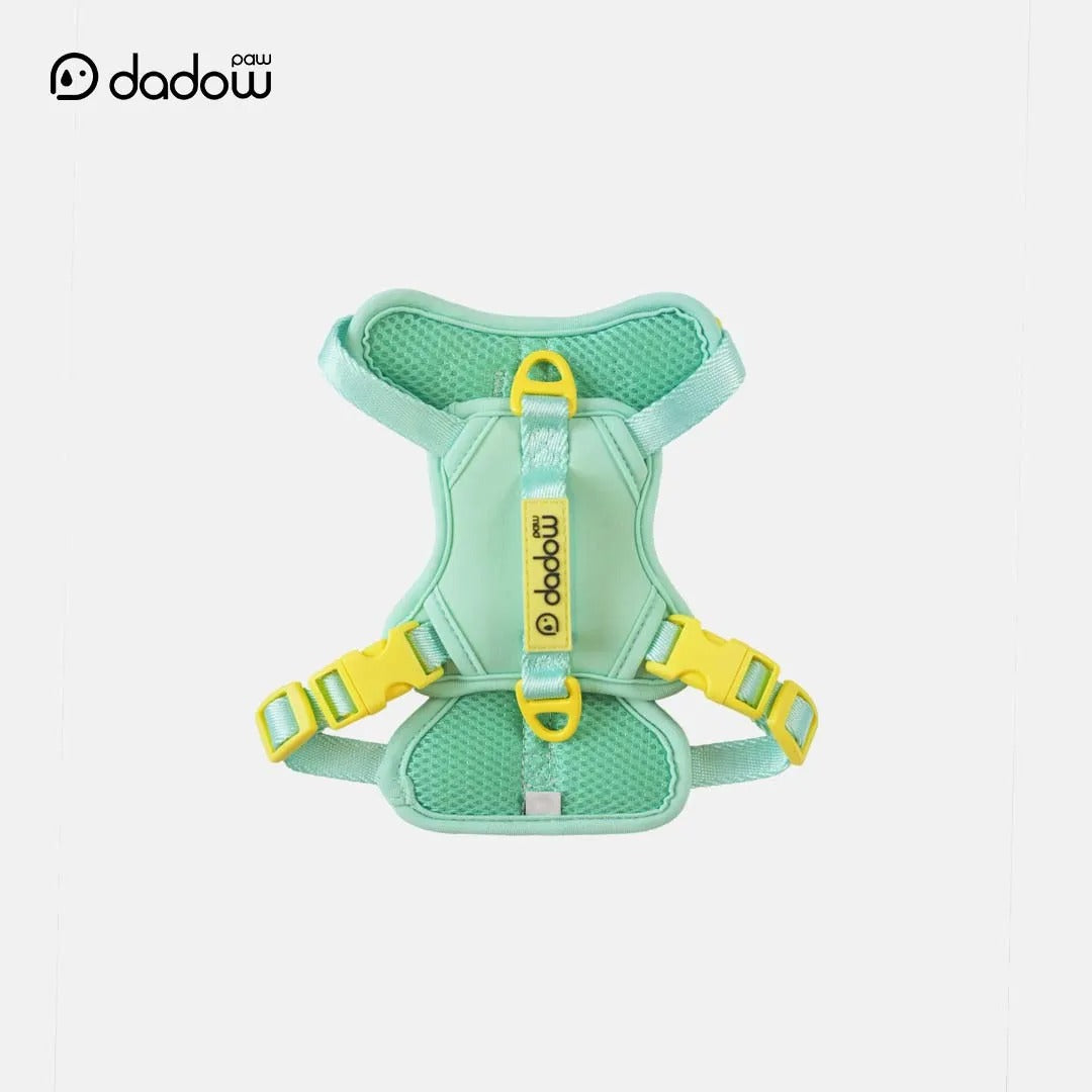 Mint blue dog harness set back view