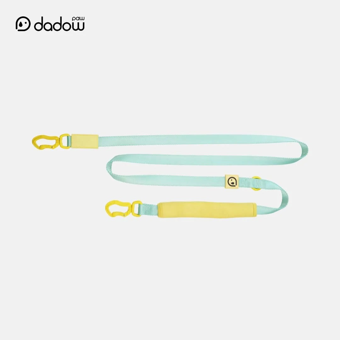 Matching mint blue dog leash detail