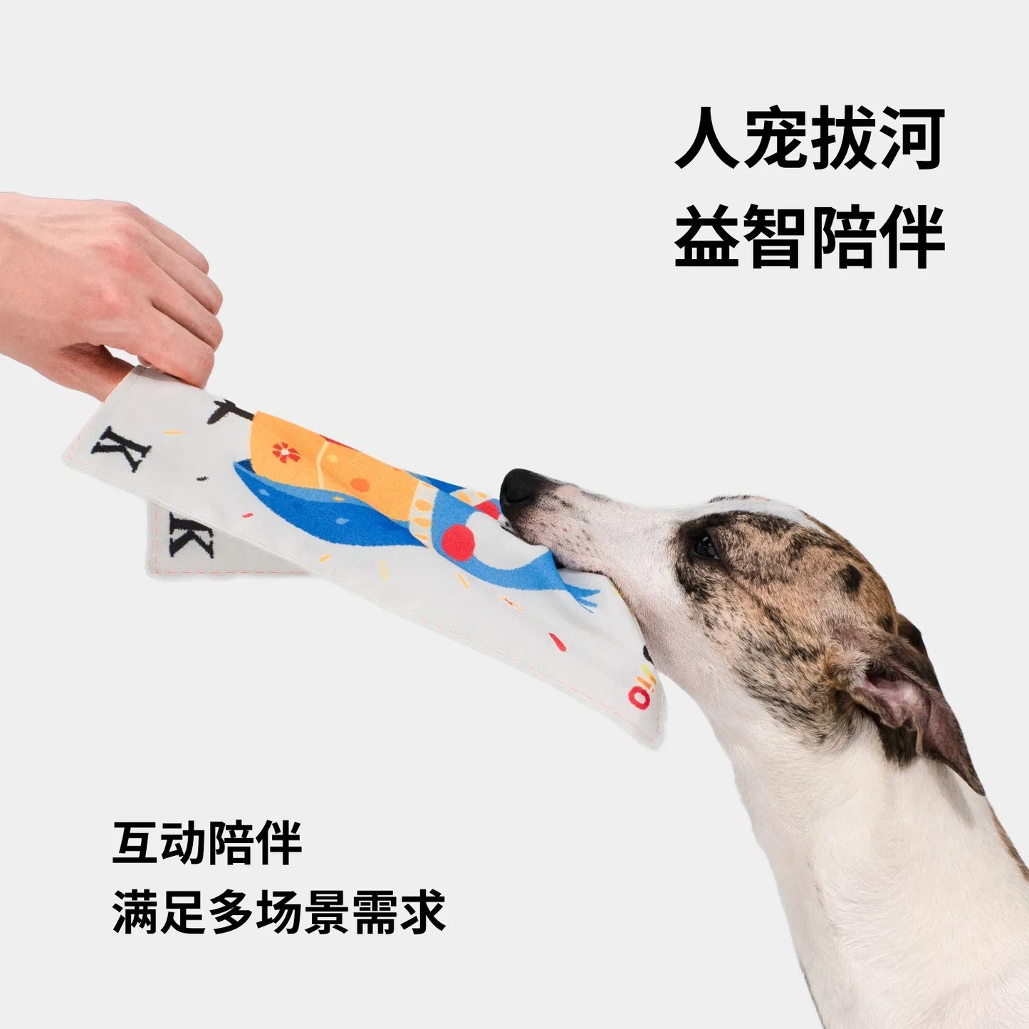 Dog tugging a playing card crinkle squeaky toy