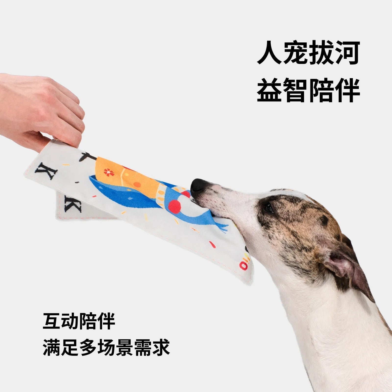 Dog tugging a playing card crinkle squeaky toy