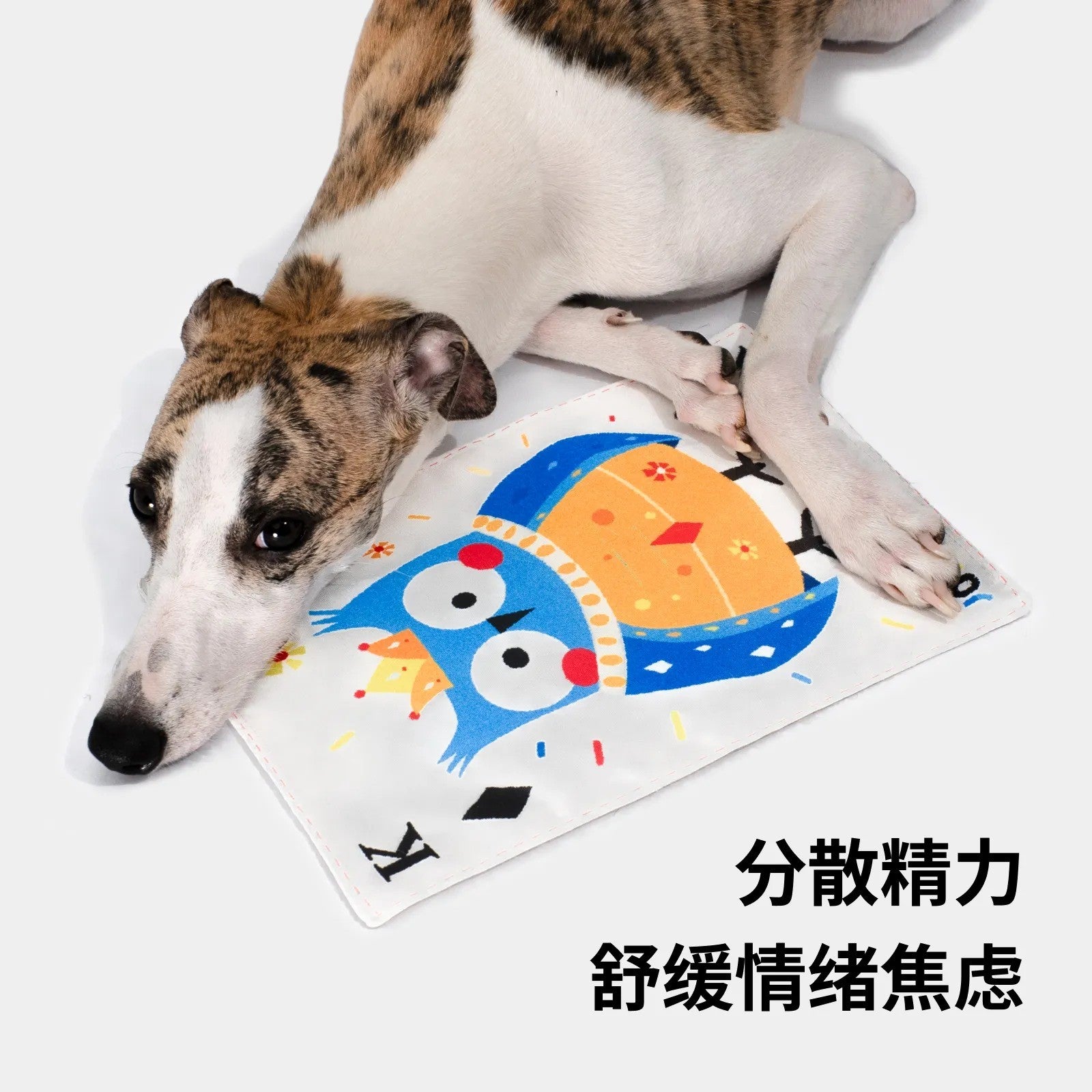 Dog resting with a soft playing card toy